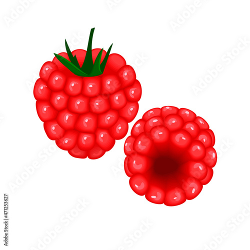 Juicy fresh raspberry fruit  in  realistic style.Icon with a berry in two angles.Botanical design elements isolated on white background.Vector illustration. 