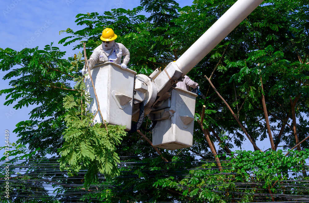 two-electricians-in-bucket-crane-truck-cutting-high-tree-branches-for