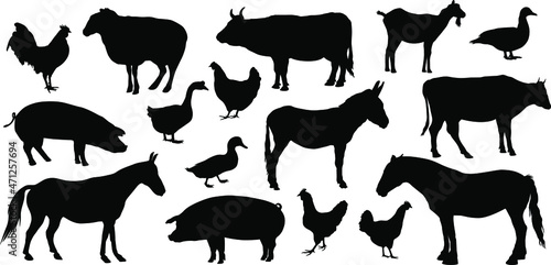 Farm animals silhouettes. Collection  of domestic cattle. Vector illustration set isolated on white.