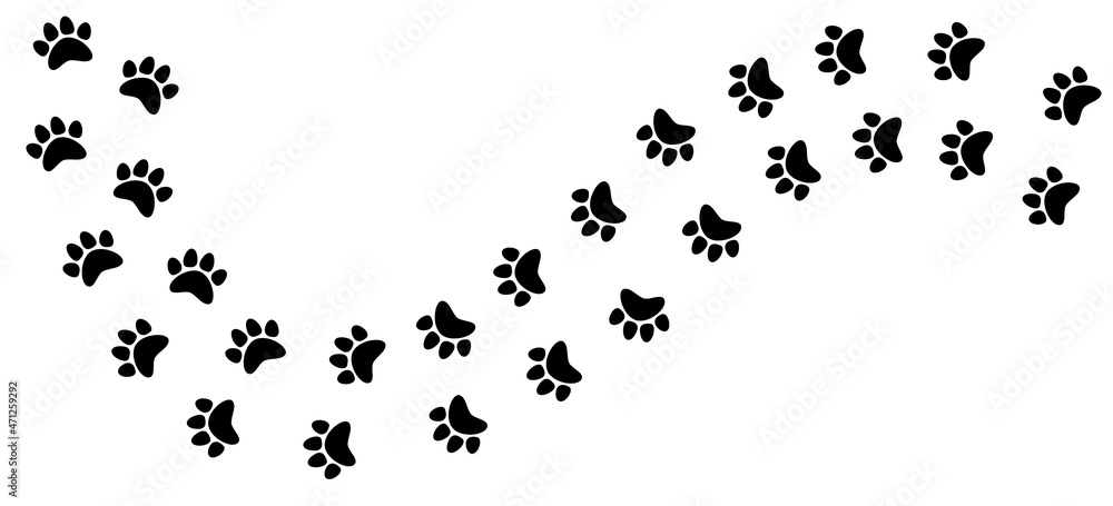 Animal track, cat, dog paw print isolated icon. Vector illustration. Animal track, cat, dog paw print isolated icon. Vector illustration.