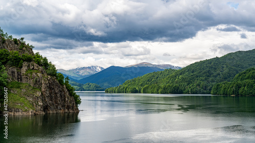 Lake  forest and mountains