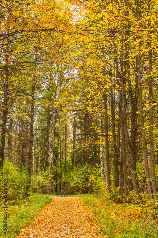 Obraz premium Peace park in Vologda. Russia