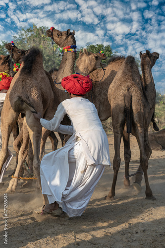 Indian man in the desert Thar during Pushkar Camel Mela near holy city Pushkar, Rajasthan, India