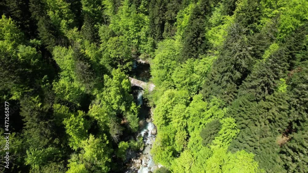 Vue aérienne par drone du massif de la Chartreuse en été