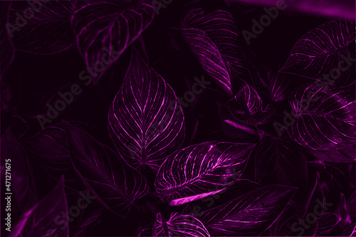 Stylish violet tropical leaf banner. Neon light on plants. Purple tropics design for your design