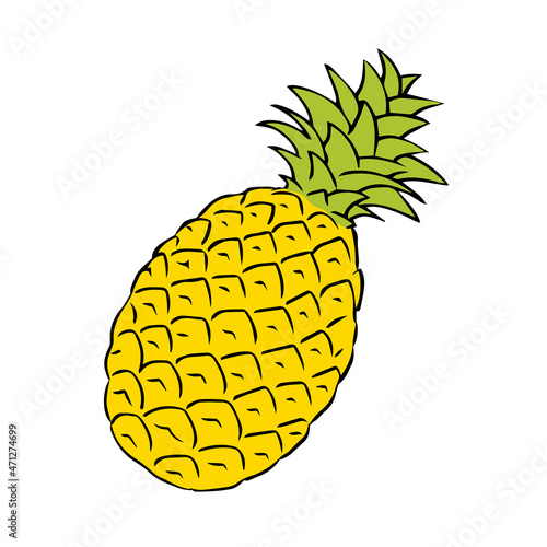 Ananas sketch illustration. Exotic delicious citrus fruit pineapple with vitamins. Vector freehand drawing. Isolated object on a white background