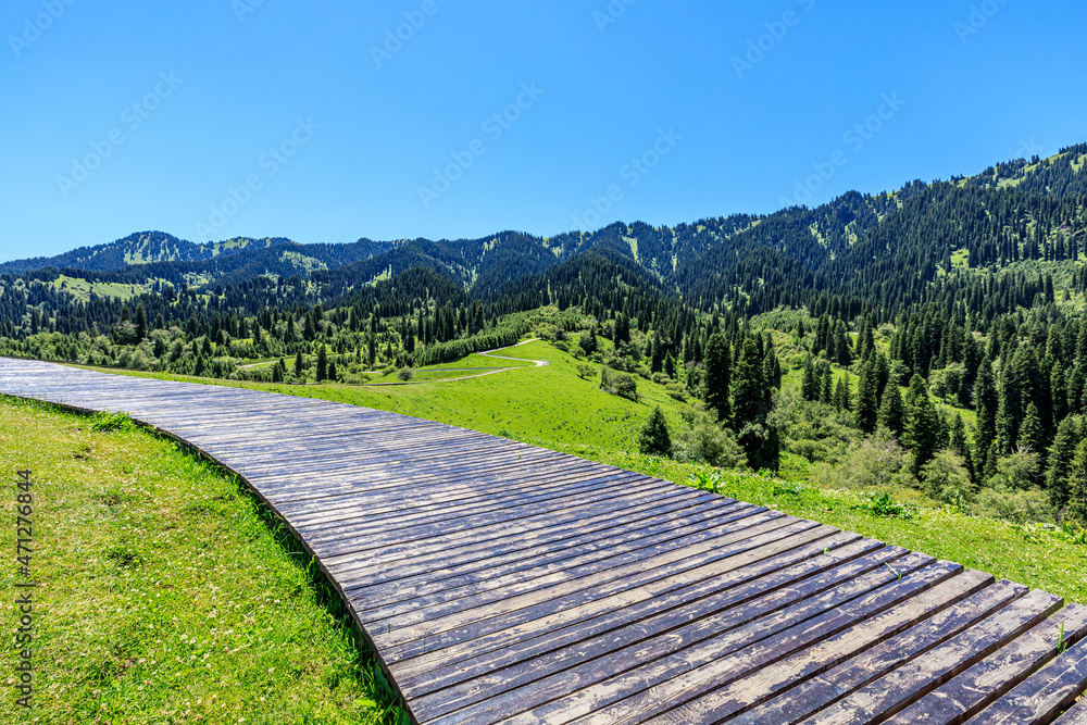 Boardwalk and green mountain with forest under blue sky