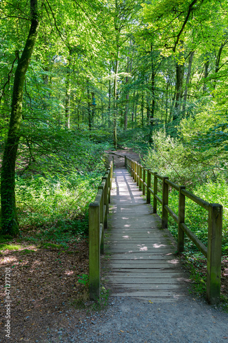 View of a wooden bridge on a path among the deciduous forest. 