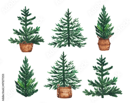 Watercolor set of various Christmas trees in baskets isolated on white background hand drawn illustration