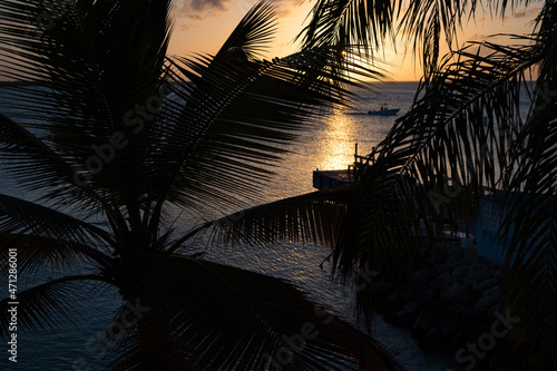 Fototapeta Naklejka Na Ścianę i Meble -  Palm trees and the setting sun on the island of Bonaire - Dutch Caribbean