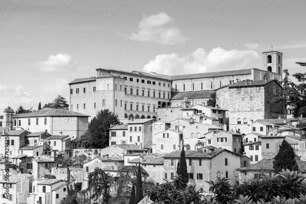 black and white view of todi