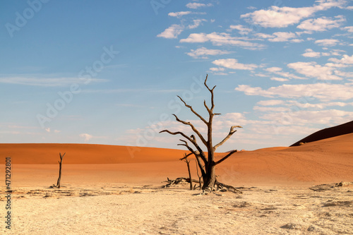 The famous place Deadvlei. Beautiful landscape in the Namib desert