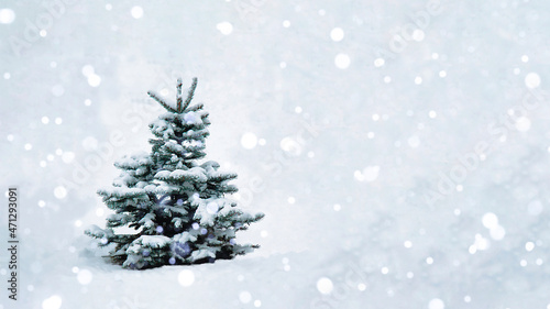 A Christmas tree with snow on the branches in an open space stands in a snowfall.