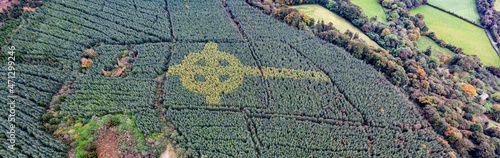 Aerial view of celtic cross growing in a forest in County Donegal - Ireland