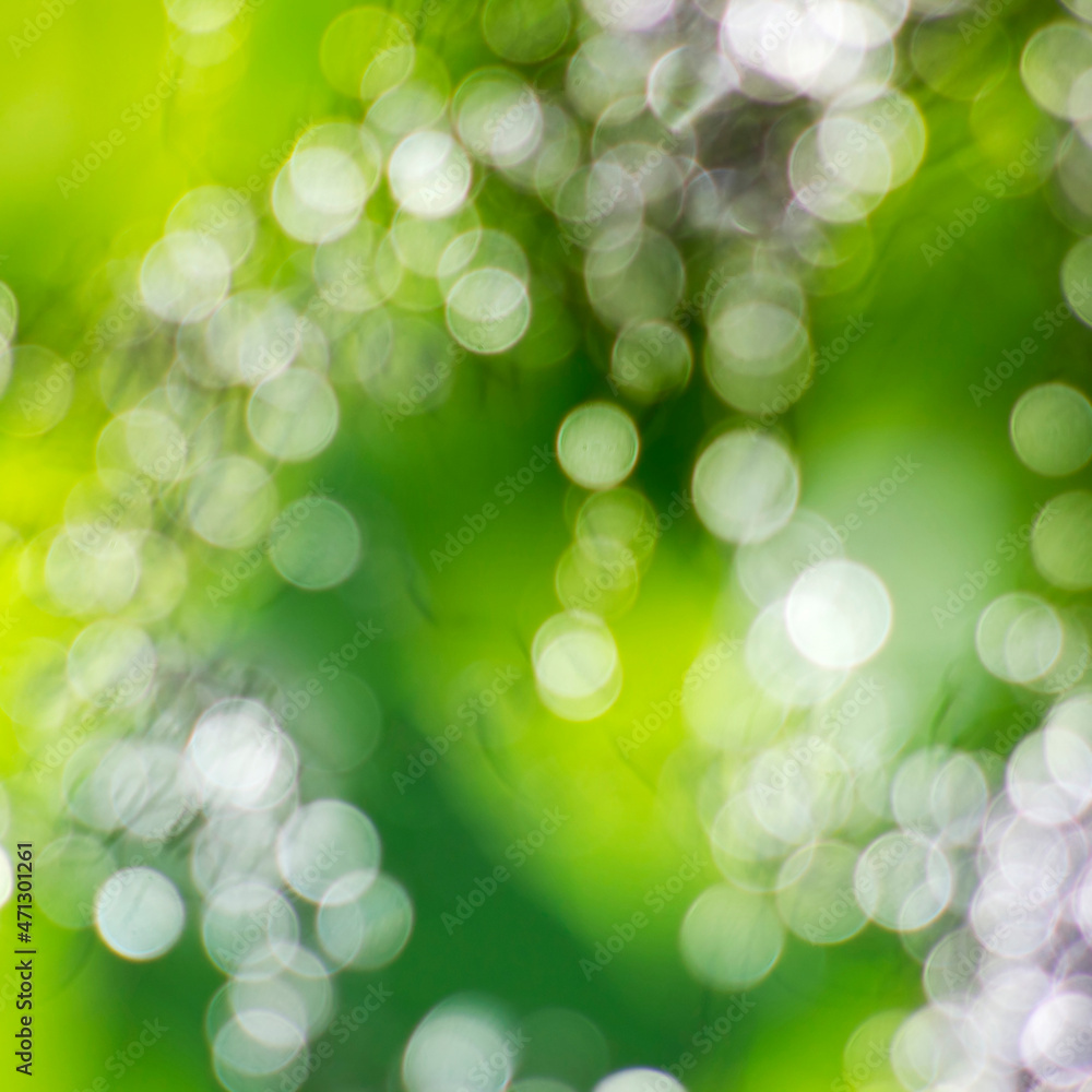 abstract background with natural bokeh abstract background with natural bokeh