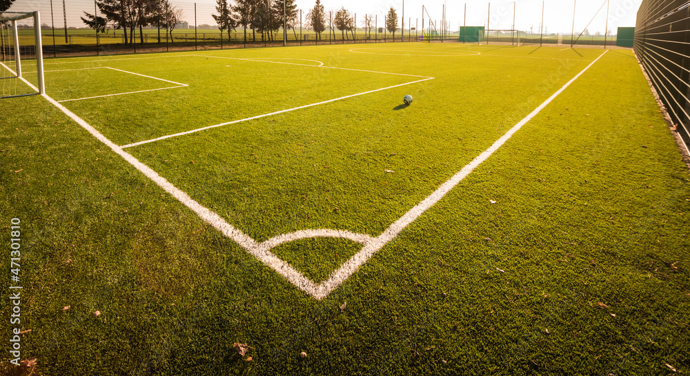 Fototapeta premium footbal