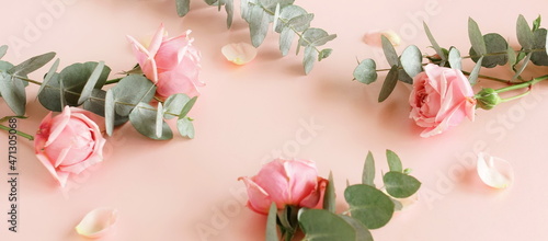 Flowers background banner.Pink roses  and eucalyptus branch bouquet frame top...