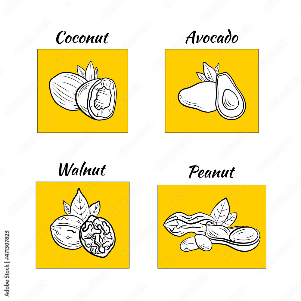 set of nut icons, bright yellow design elements, oils, outline illustration template.