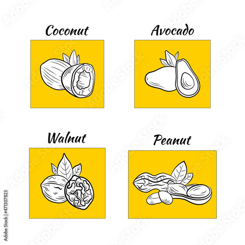 set of nut icons  bright yellow design elements  oils  outline illustration template.