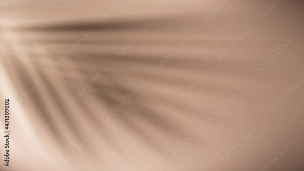 Super slow motion shot of moving shadow of palm leaves on beige background. Filmed on high speed cinematic camera at 1000 fps.