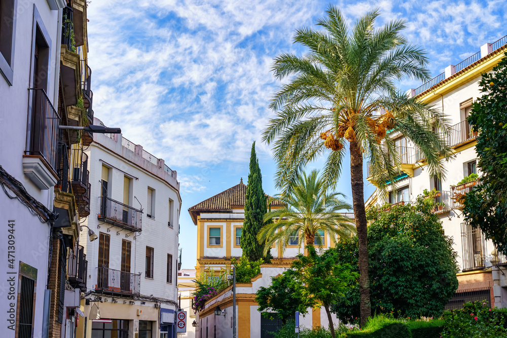 View of buildings and tall palm trees in the tourist town of Cordoba Spain.