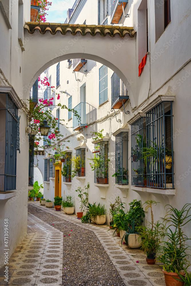 Picturesque alley with flower pots and flowers in the medieval city of Cordoba, Spain.