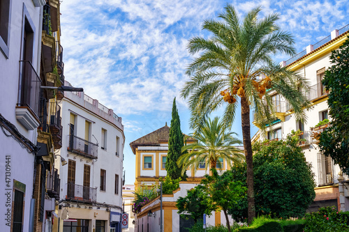 View of buildings and tall palm trees in the tourist town of Cordoba Spain. © josemiguelsangar