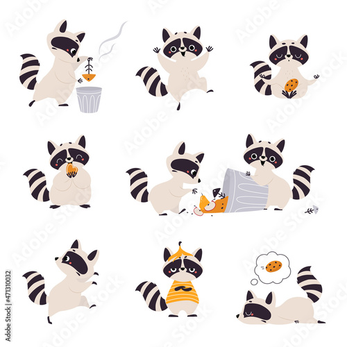 Cute Raccoon Character with Ringed Tail Holding Cookie and Digging in Dustbin Vector Set