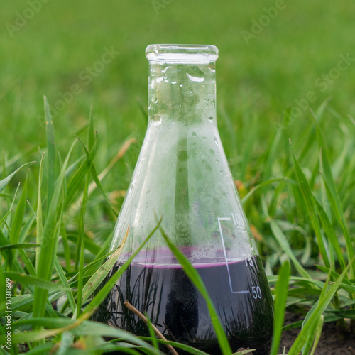 Image of a glass flask with a chemical solution on the background of young shoots of wheat.