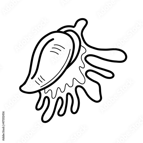 Vector illustration in linear style of shell of Lambis lambis on white isolated background