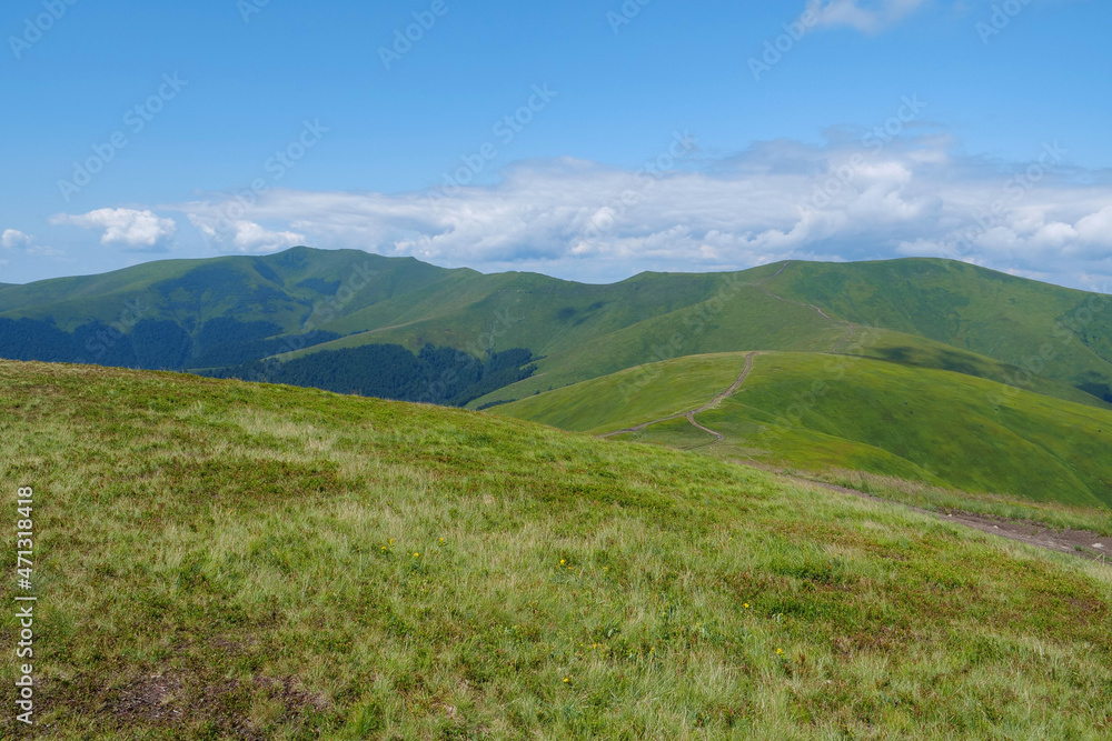 Beautiful Carpathian Mountains in Ukraine, Polonina Borzhava mountain range