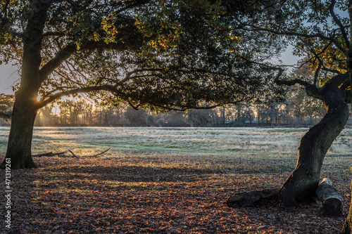 cold November sunrise photo