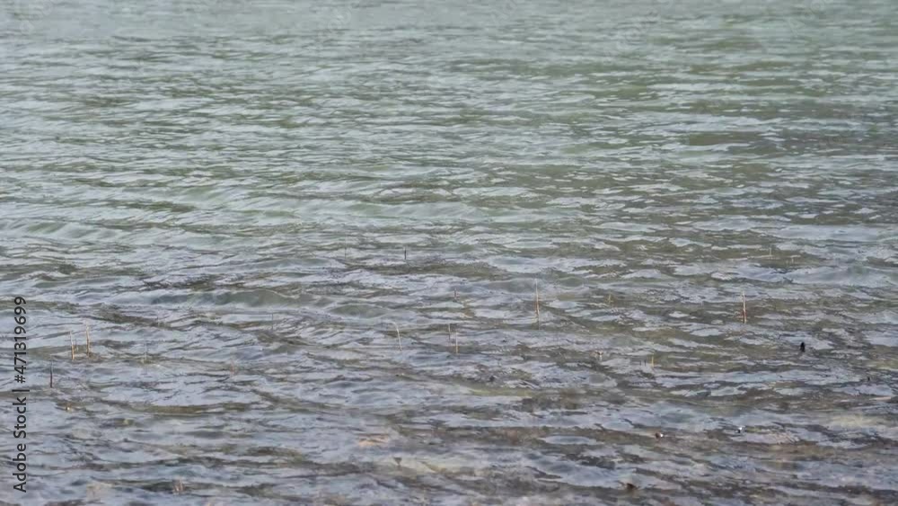 river surface background. calm river water surface with small ripples