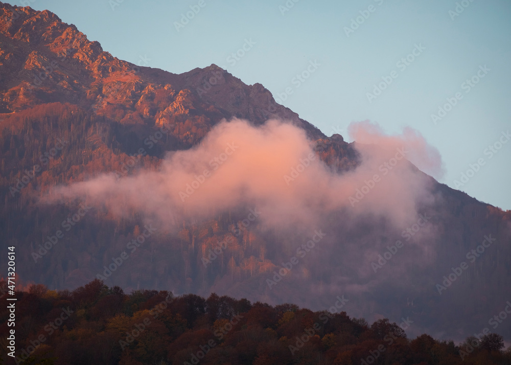 Beautiful pink cloud on a background of a mountain with an autumn forest at sunset