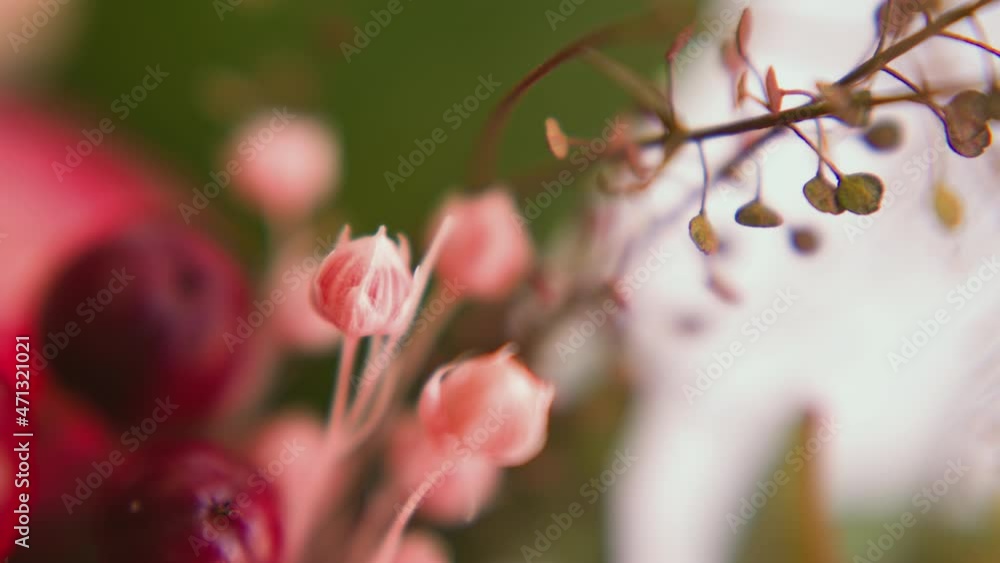 Berries and small pink flower buds gathered in bouquet on blurred background extreme close view slow motion. Florist service design Berries and small pink flower buds gathered in bouquet on blurred background extreme close view slow motion. Florist service design