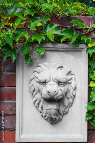 płaskorzeźba, maska ścienna kamienny lew, architektura ogrodowa, Lion bas-relief mask on the wall of historical building.