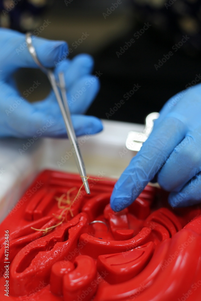 Suturing wounds. Medical dummy. Use of medical dolls for practicing medical skills Suturing wounds. Medical dummy. Use of medical dolls for practicing medical skills