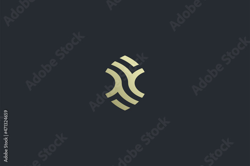 Elegant Geometrical Letter CC Luxury Vector Logo Template on Dark Background