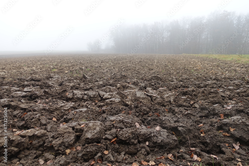 Fototapeta premium Landschaft in Donau-Ries/Bayern/Germany