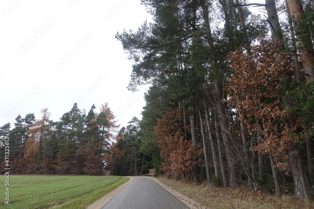 Obraz premium Landschaft in Donau-Ries/Bayern/Germany
