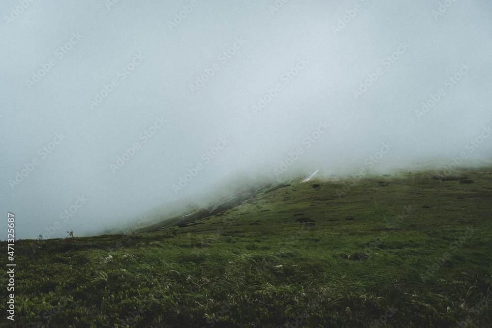 fog in the mountains sky nature cloud forest panorama 