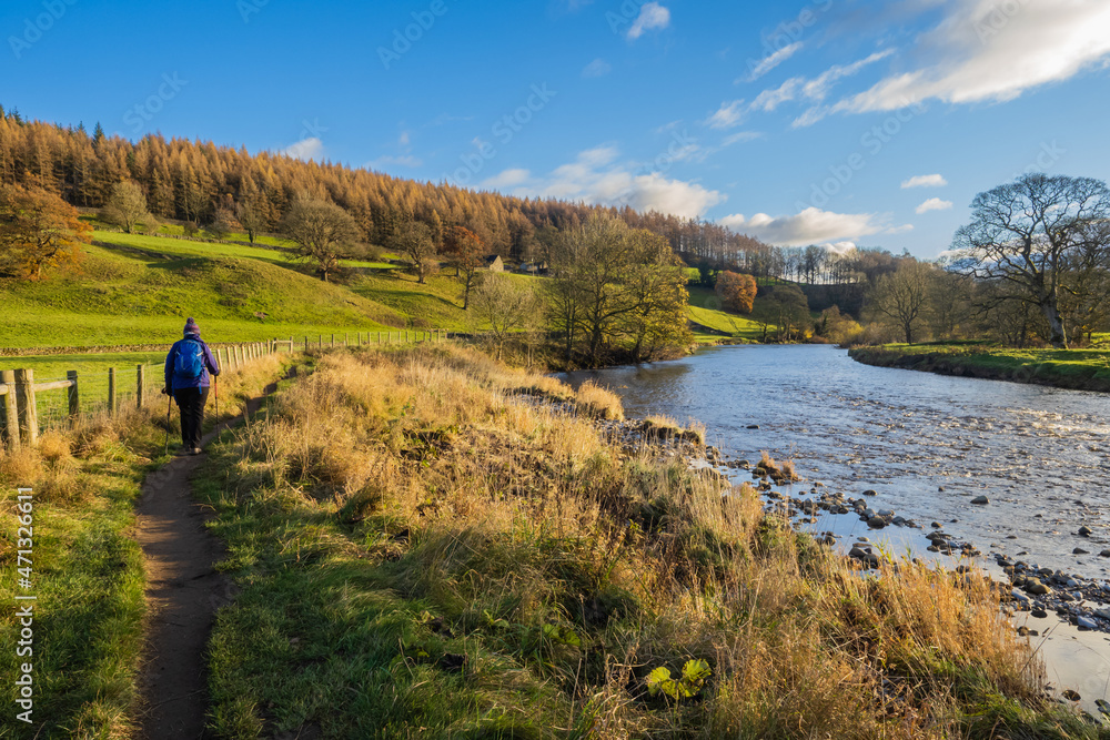 Walking back to Barden Bridge on the River Wharfe in the Yorkshire Dales