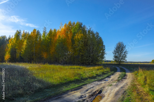 Autumn scenery of rural road in the deciduous forest on a foggy morning.