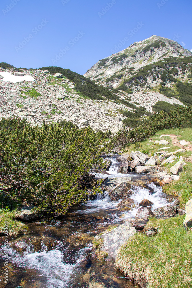 Landscape of Pirin Mountain near Banderitsa River, Bulgaria