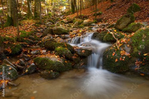 waterfall in the forest