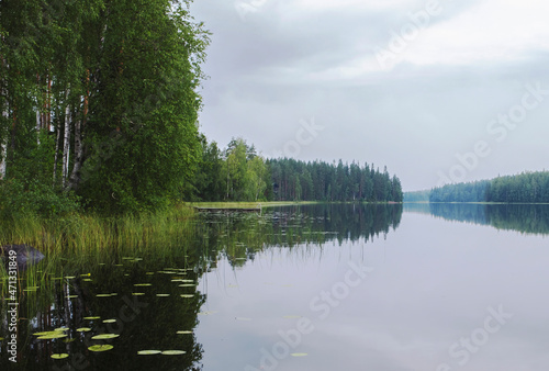 Summer landscape, lake shoreline and forest. Quiet on the lake.