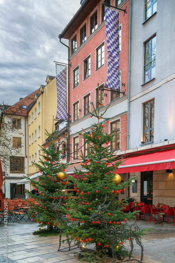 Christmas fir-tree on the street,Munich, Germany