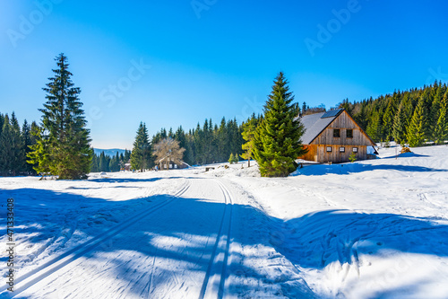 Cross-country skiing in Jizera Mountains photo