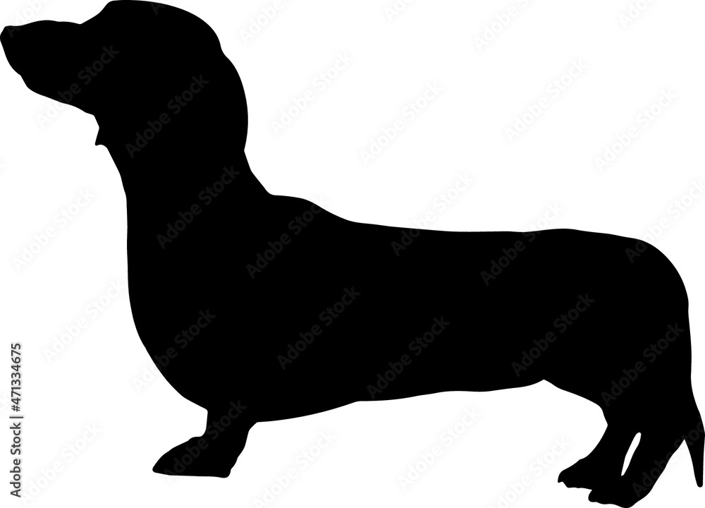 Dachshund Silhouette SVG Dachshund Dog Silhouettes
