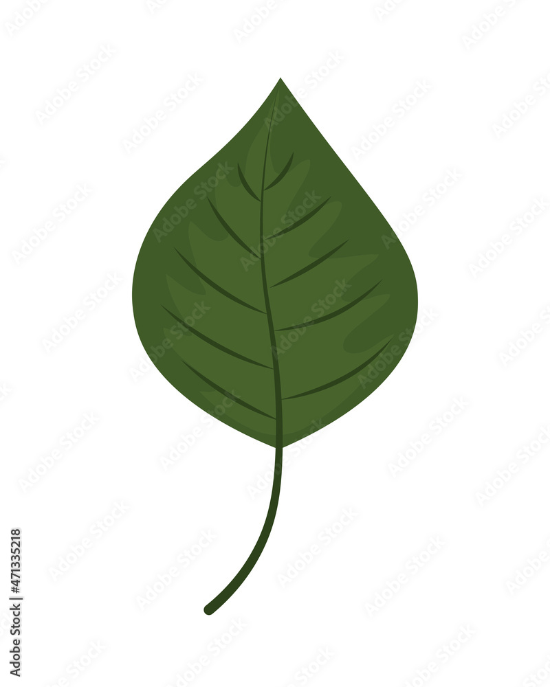 green leaf foliage green leaf foliage